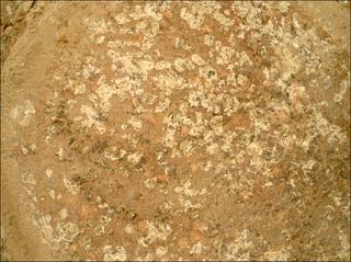 View image taken on Mars, Mars Perseverance Sol 1193: WATSON Camera 
