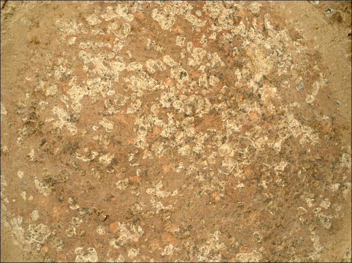 This image was taken by SHERLOC_WATSON onboard NASA's Mars rover Perseverance on Sol 1193