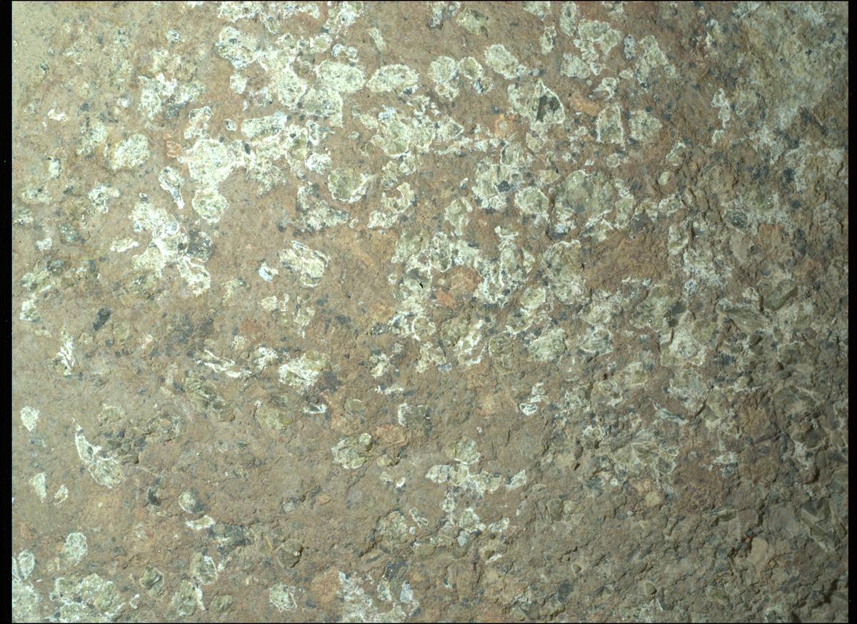 This image was taken by SHERLOC_WATSON onboard NASA's Mars rover Perseverance on Sol 1193