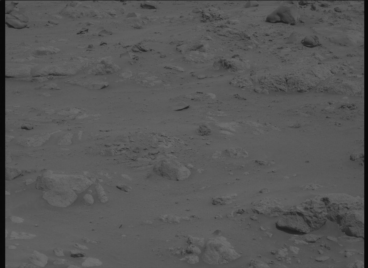 This image was taken by MCZ_LEFT onboard NASA's Mars rover Perseverance on Sol 1194