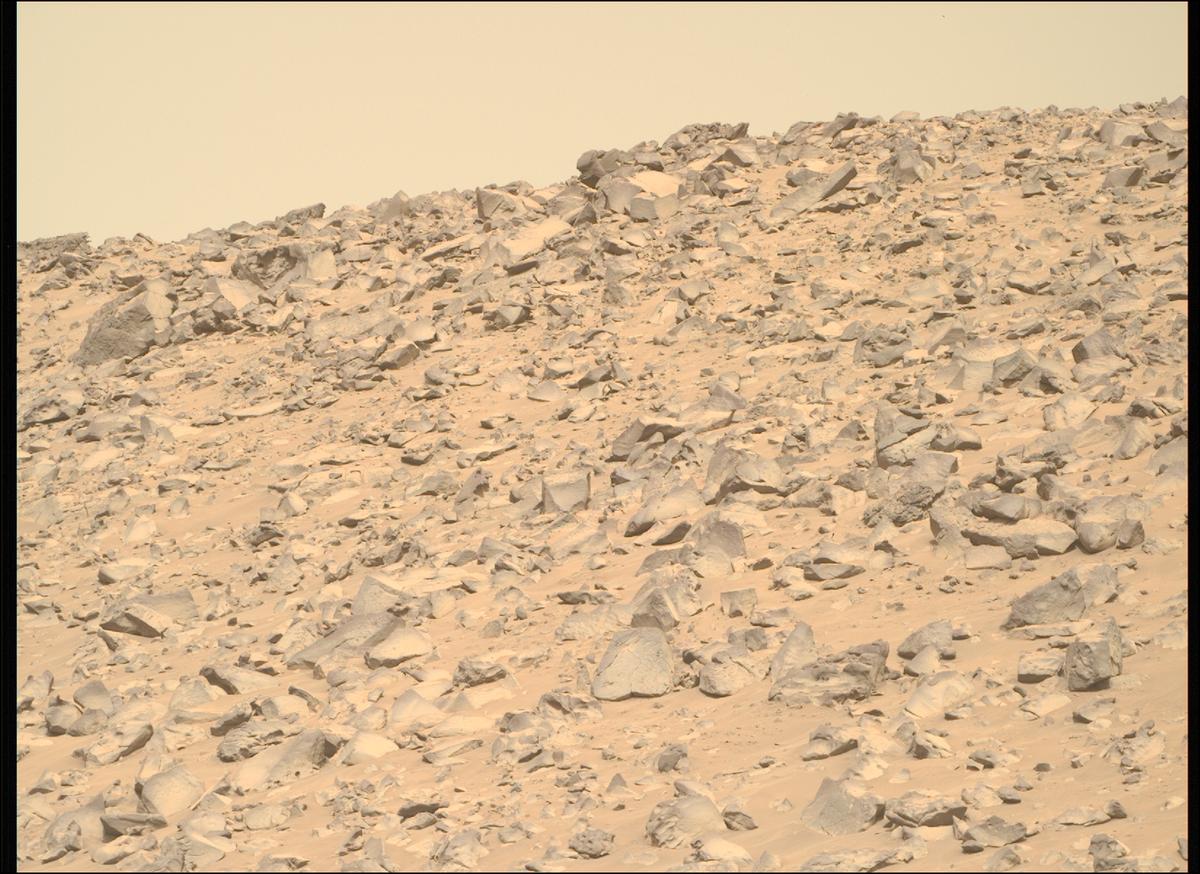 This image was taken by MCZ_RIGHT onboard NASA's Mars rover Perseverance on Sol 1194
