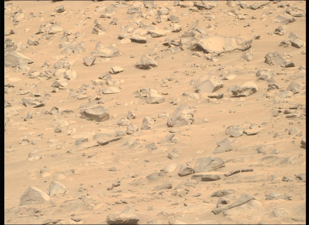 This image was taken by MCZ_RIGHT onboard NASA's Mars rover Perseverance on Sol 1194