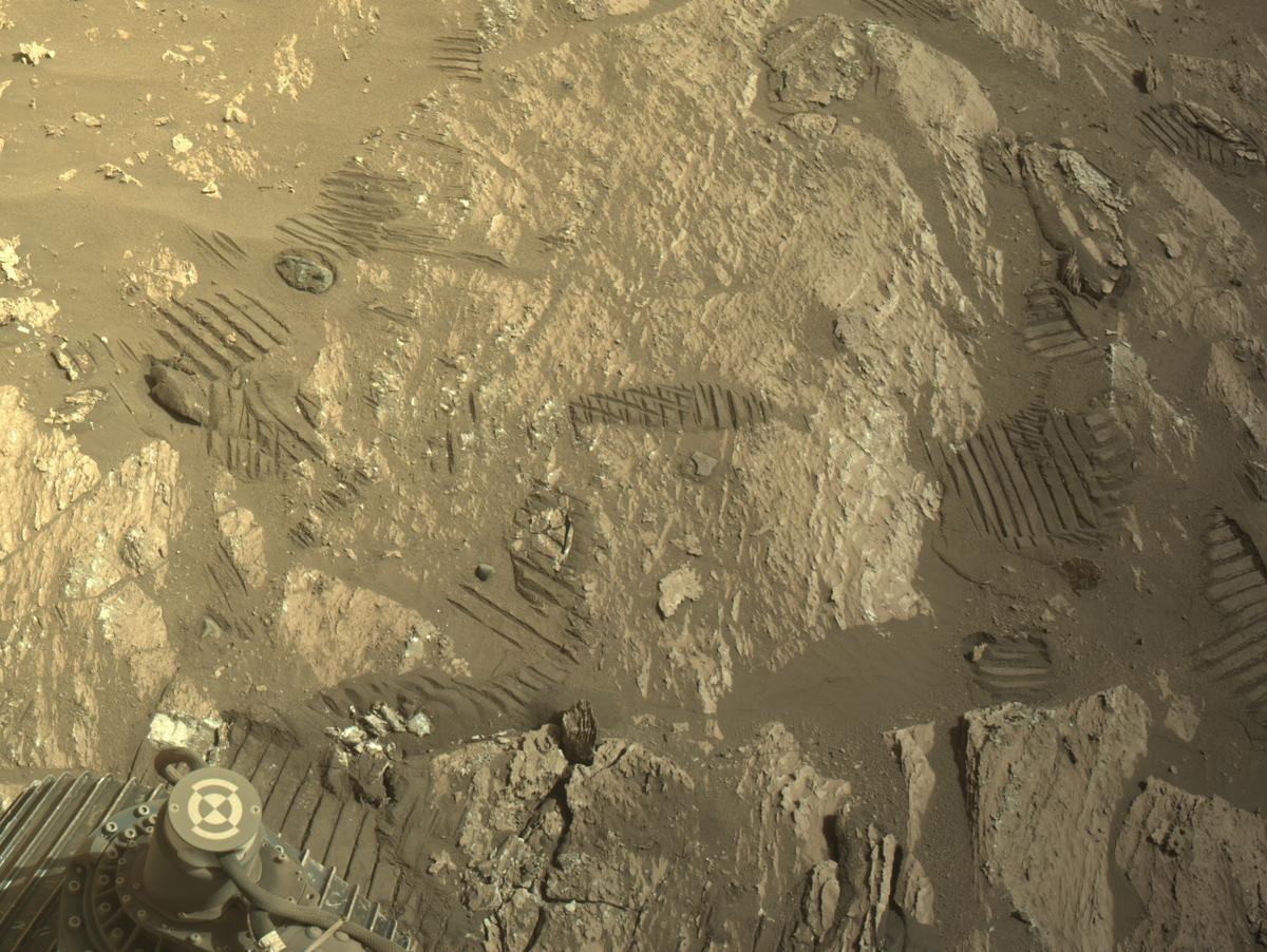 This image was taken by NAVCAM_LEFT onboard NASA's Mars rover Perseverance on Sol 1195