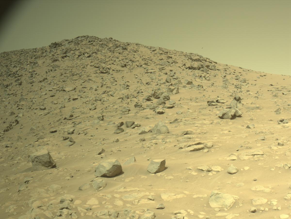 This image was taken by NAVCAM_LEFT onboard NASA's Mars rover Perseverance on Sol 1195