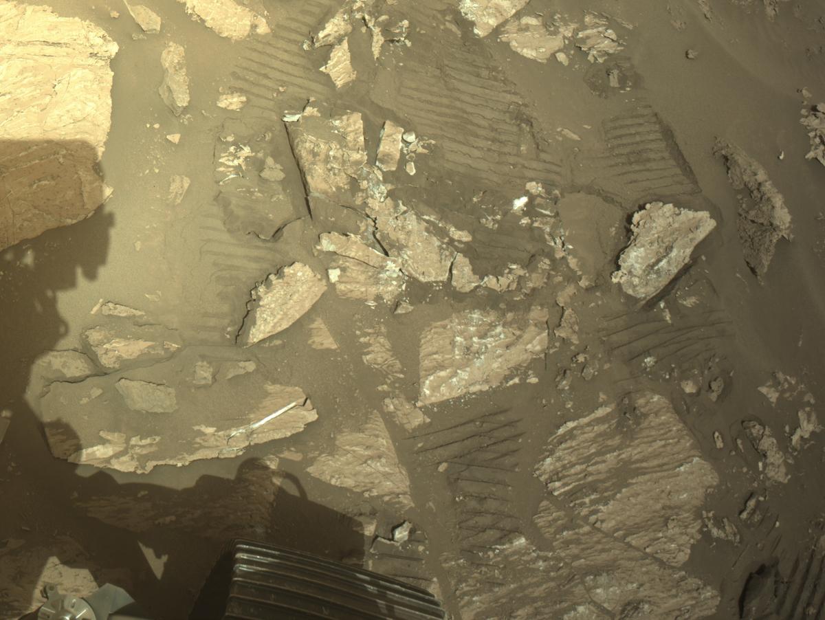 This image was taken by NAVCAM_RIGHT onboard NASA's Mars rover Perseverance on Sol 1197