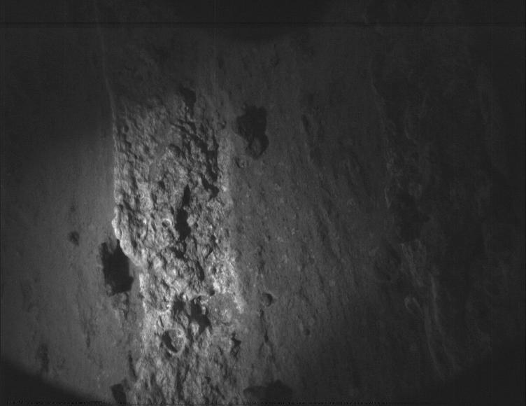 This image was taken by PIXL_MCC onboard NASA's Mars rover Perseverance on Sol 1197