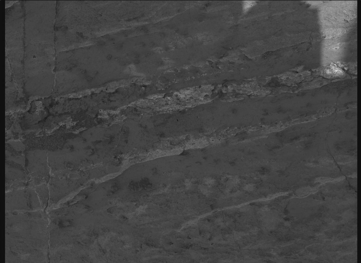 This image was taken by SHERLOC_WATSON onboard NASA's Mars rover Perseverance on Sol 1197