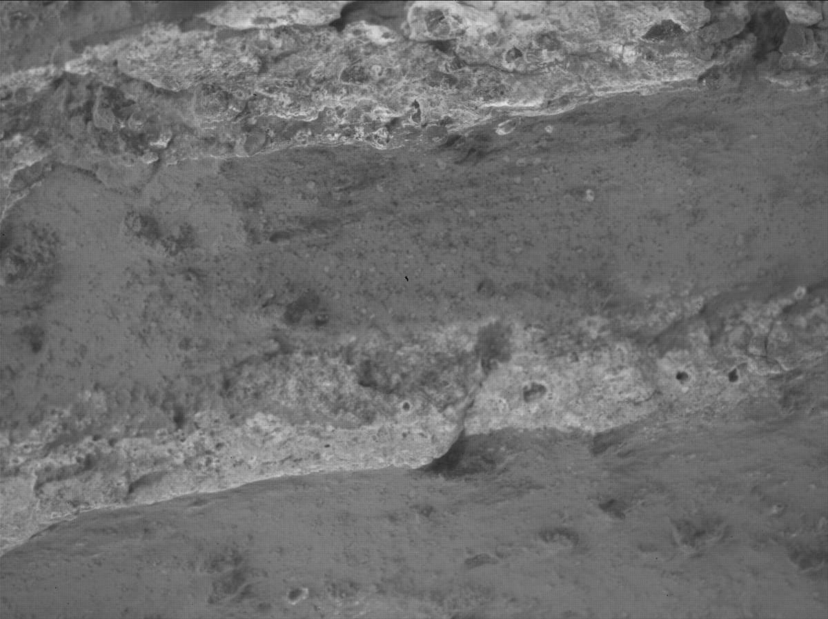 This image was taken by SHERLOC_WATSON onboard NASA's Mars rover Perseverance on Sol 1197