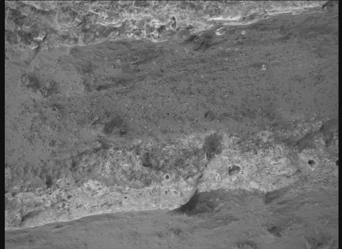 This image was taken by SHERLOC_WATSON onboard NASA's Mars rover Perseverance on Sol 1197