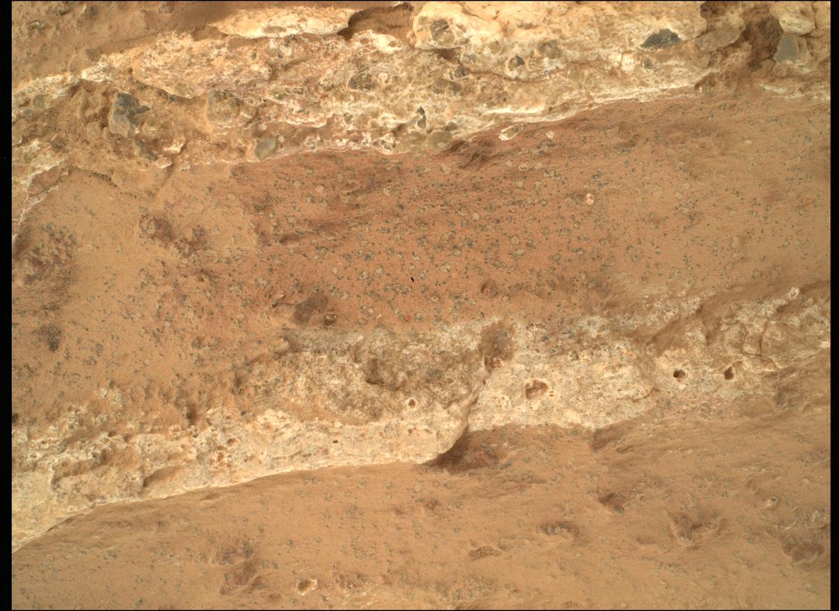 This image was taken by SHERLOC_WATSON onboard NASA's Mars rover Perseverance on Sol 1197