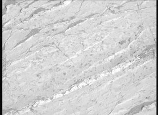 View image taken on Mars, Mars Perseverance Sol 1198: Left Mastcam-Z Camera