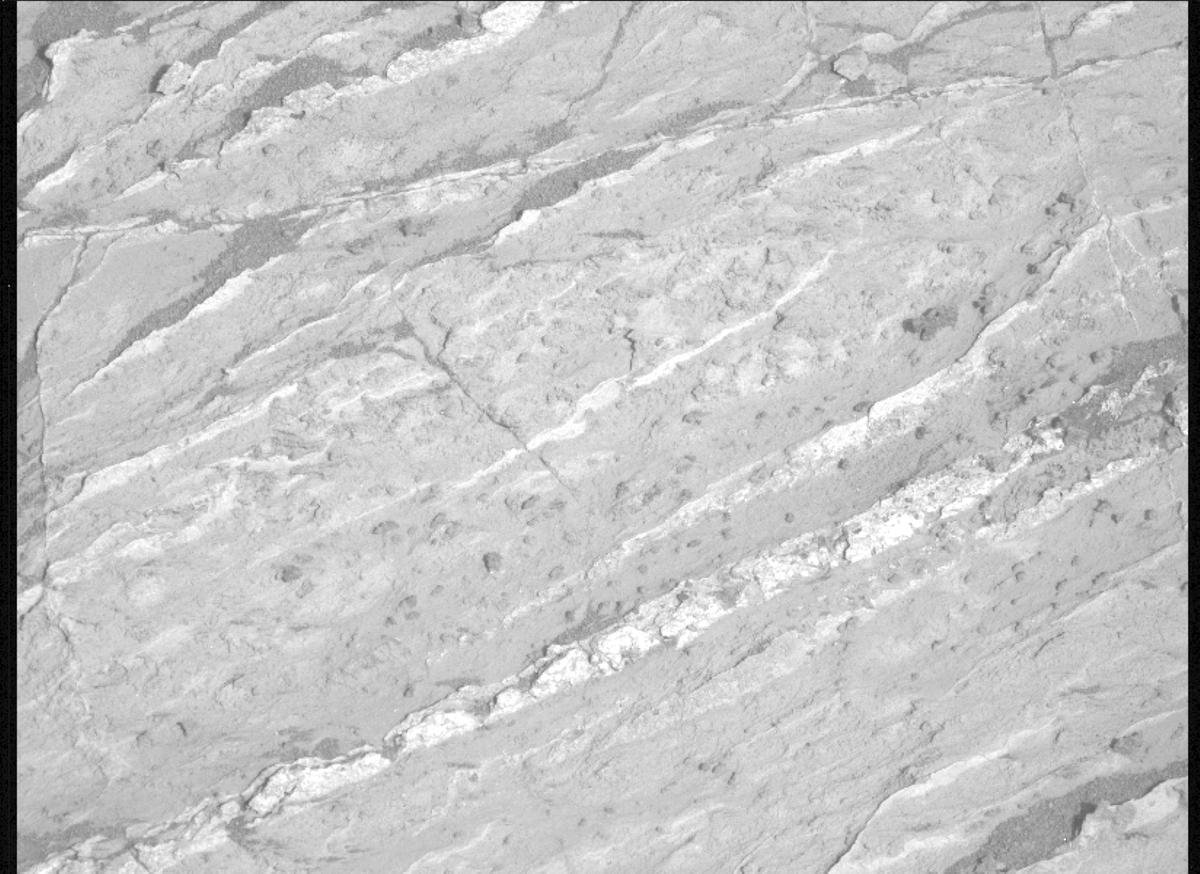 This image was taken by MCZ_LEFT onboard NASA's Mars rover Perseverance on Sol 1198