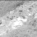 This image was taken by MCZ_RIGHT onboard NASA's Mars rover Perseverance on Sol 1198