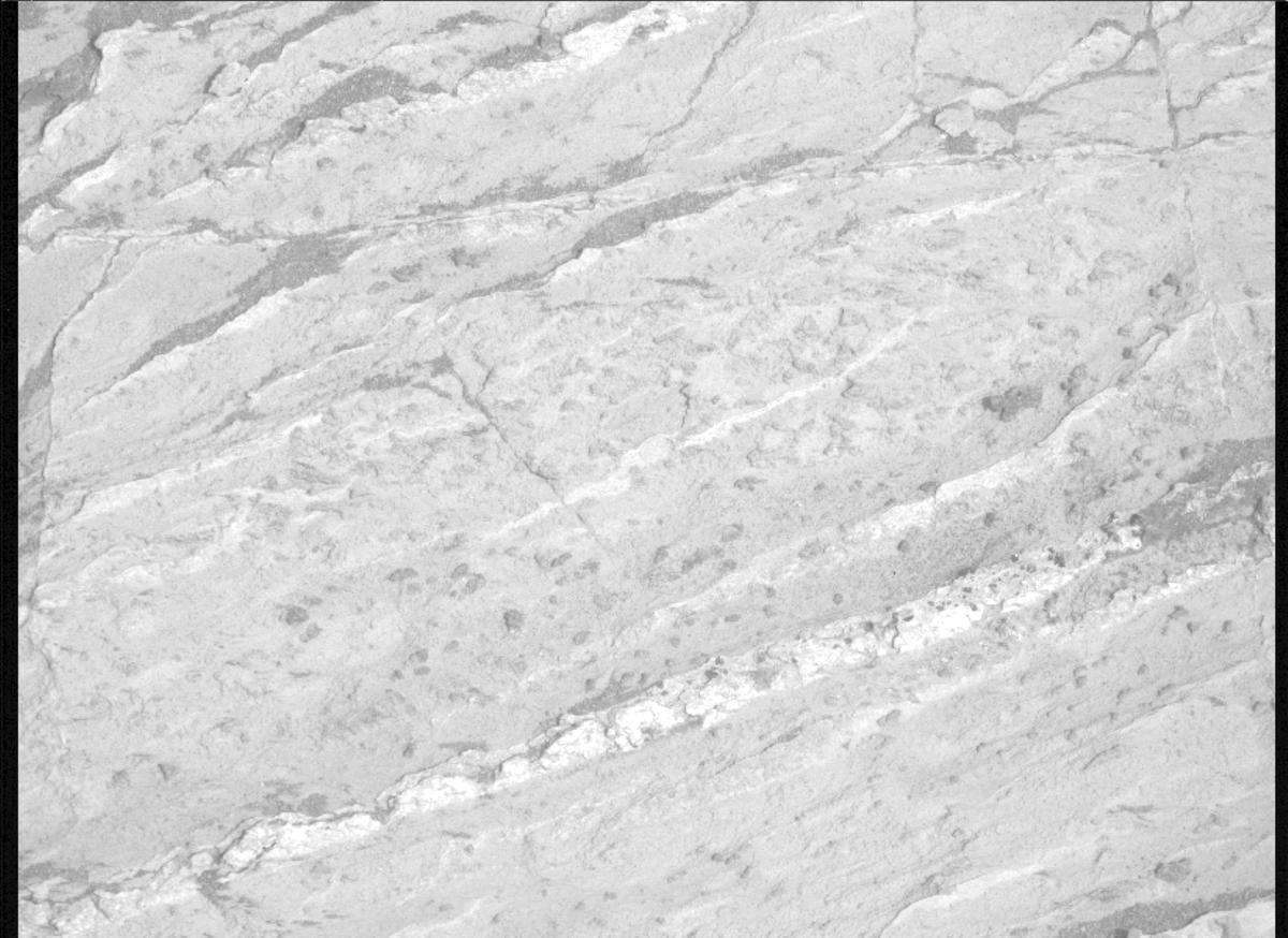 This image was taken by MCZ_RIGHT onboard NASA's Mars rover Perseverance on Sol 1198