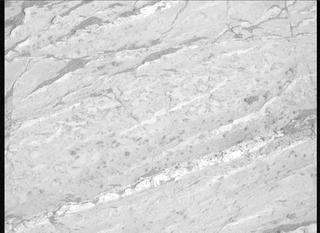 View image taken on Mars, Mars Perseverance Sol 1198: Right Mastcam-Z Camera