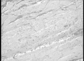 View image taken on Mars, Mars Perseverance Sol 1198: Right Mastcam-Z Camera