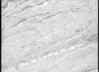 View image taken on Mars, Mars Perseverance Sol 1198: Right Mastcam-Z Camera