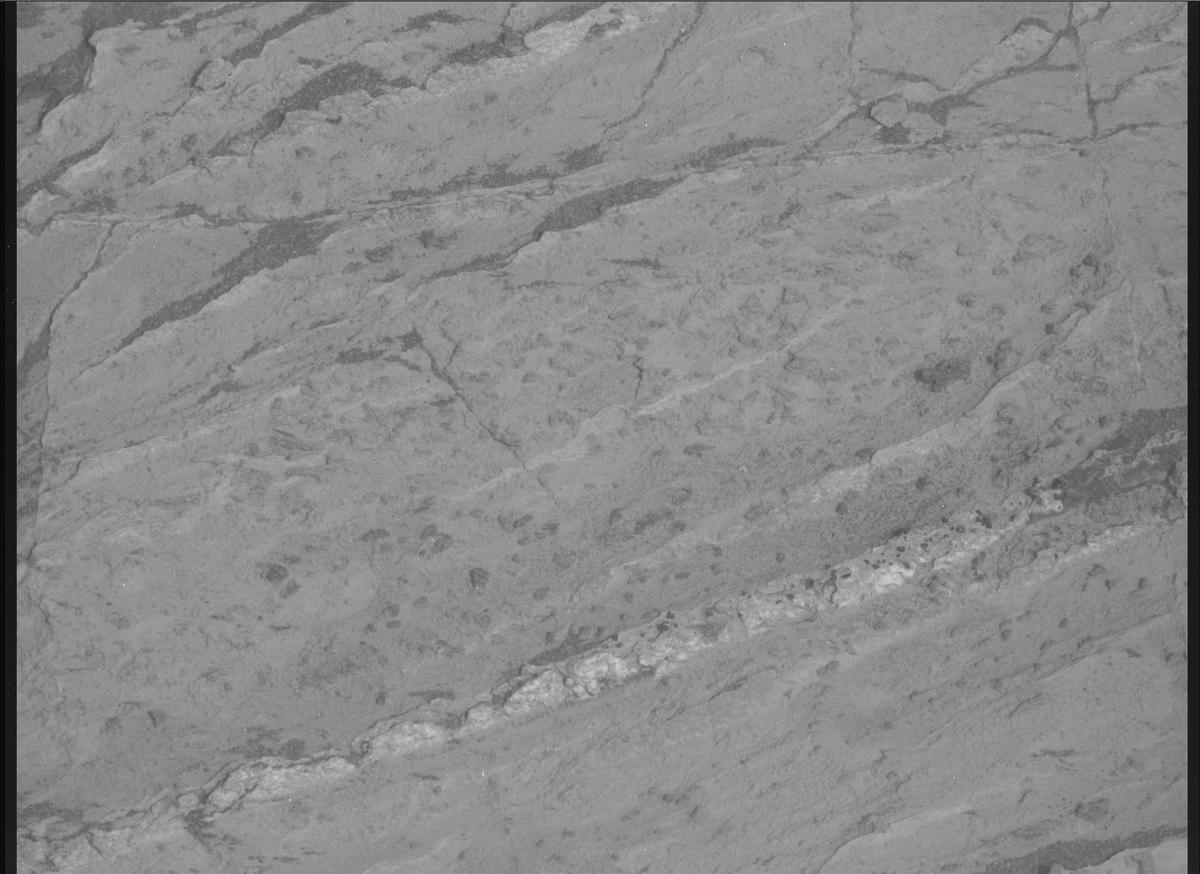 This image was taken by MCZ_RIGHT onboard NASA's Mars rover Perseverance on Sol 1198