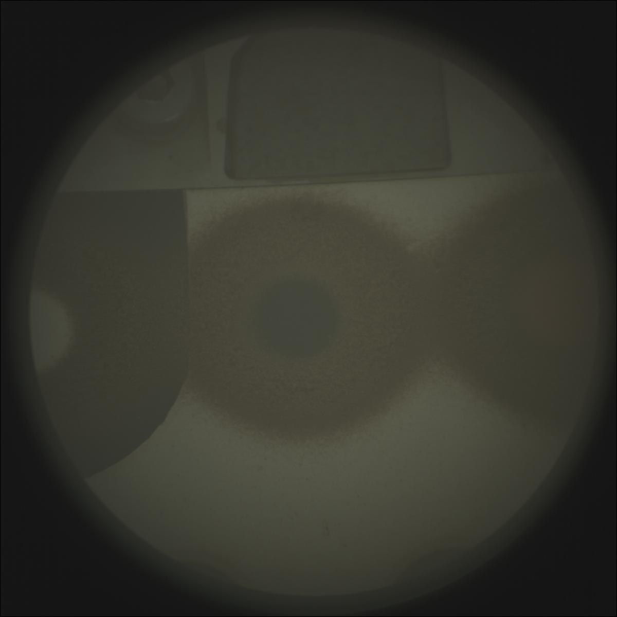 This image was taken by SUPERCAM_RMI onboard NASA's Mars rover Perseverance on Sol 1200