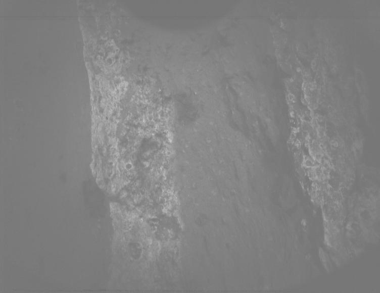 This image was taken by PIXL_MCC onboard NASA's Mars rover Perseverance on Sol 1202