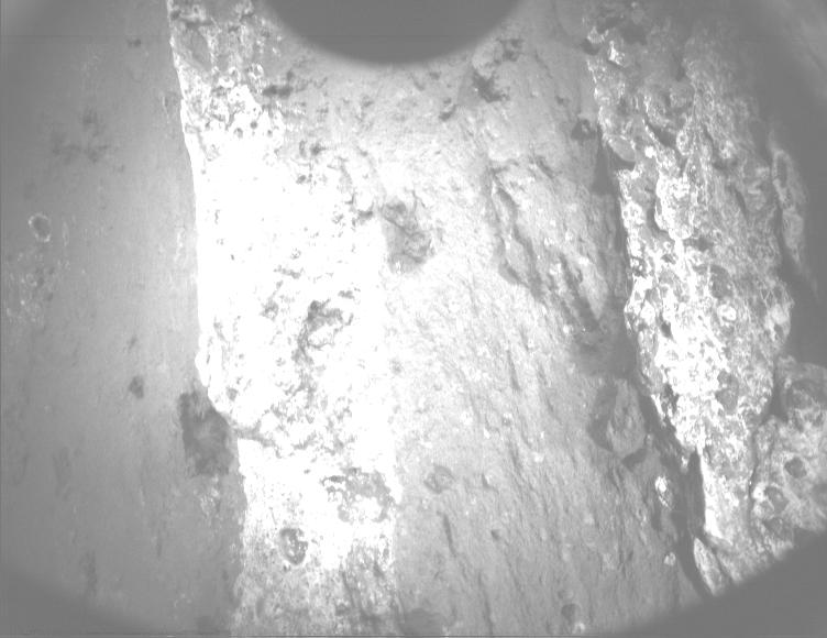 This image was taken by PIXL_MCC onboard NASA's Mars rover Perseverance on Sol 1202