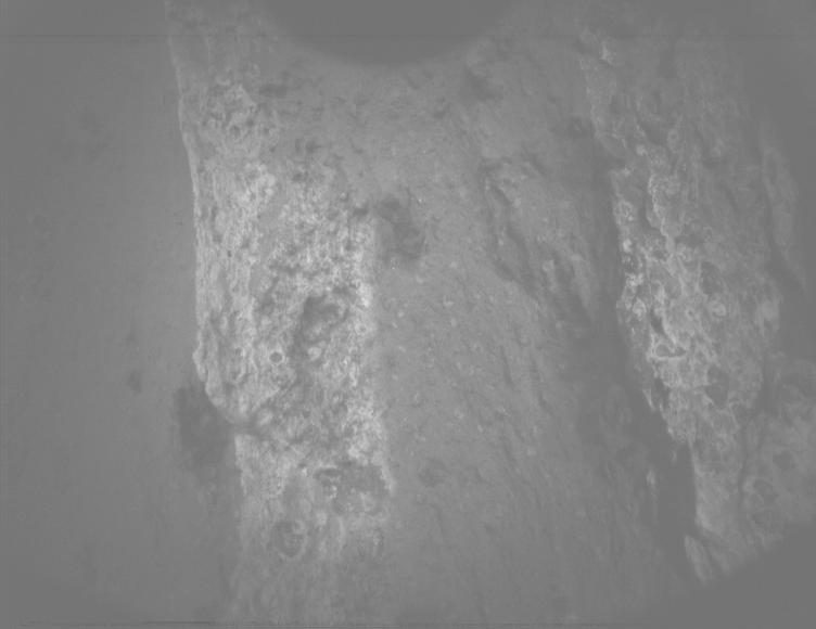 This image was taken by PIXL_MCC onboard NASA's Mars rover Perseverance on Sol 1202