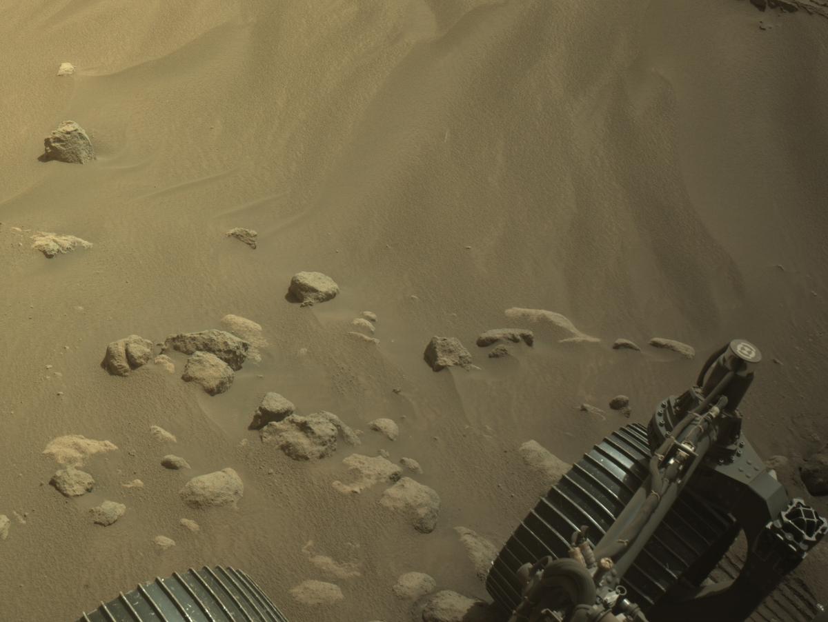 This image was taken by NAVCAM_RIGHT onboard NASA's Mars rover Perseverance on Sol 1204