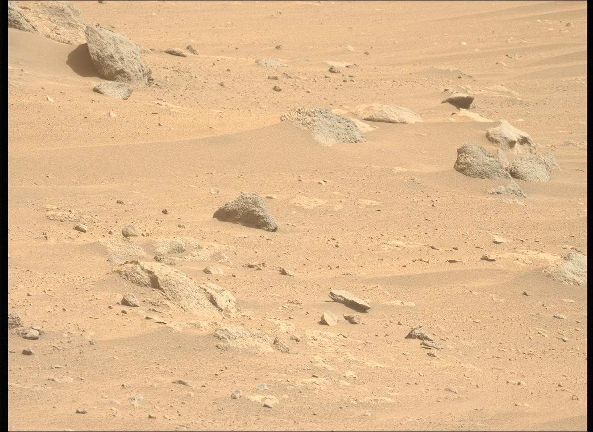 This image was taken by MCZ_LEFT onboard NASA's Mars rover Perseverance on Sol 1204