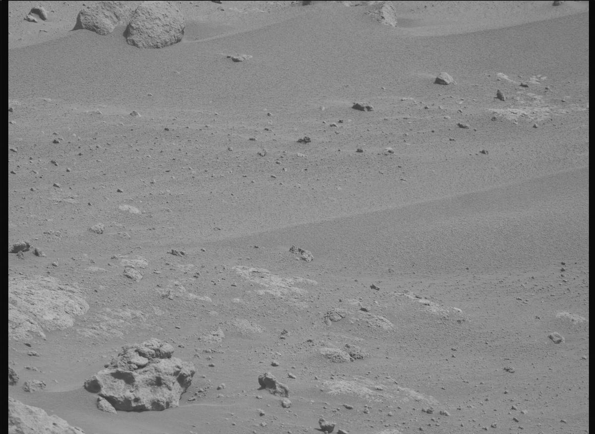 This image was taken by MCZ_RIGHT onboard NASA's Mars rover Perseverance on Sol 1204