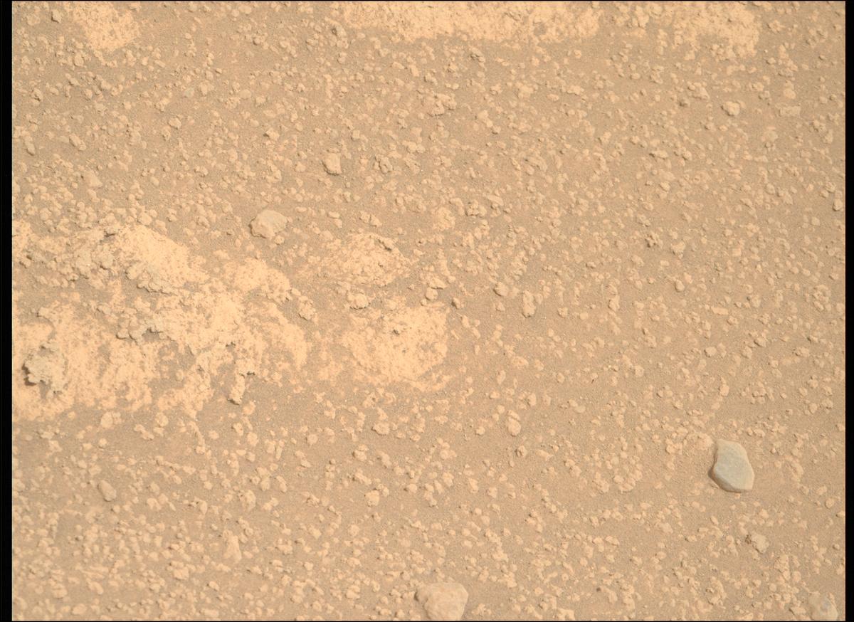 This image was taken by MCZ_RIGHT onboard NASA's Mars rover Perseverance on Sol 1204