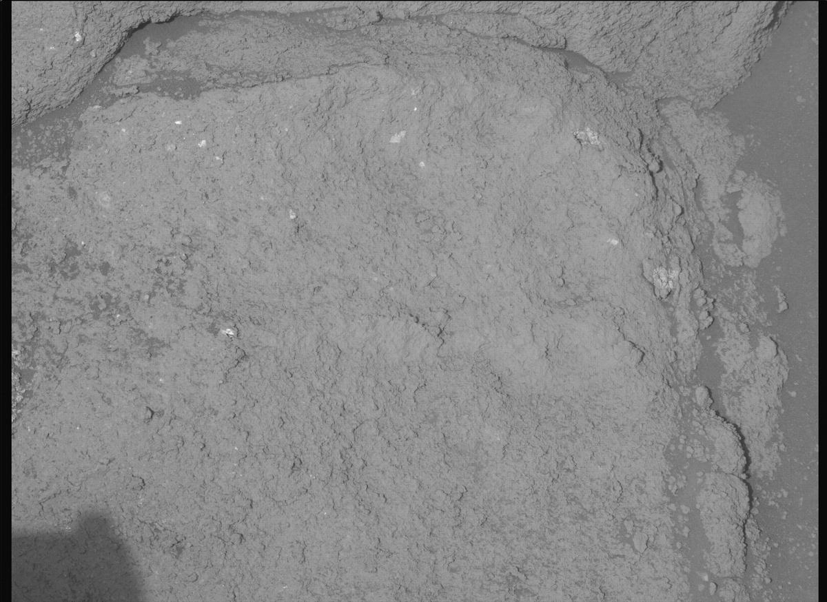 This image was taken by MCZ_LEFT onboard NASA's Mars rover Perseverance on Sol 1206