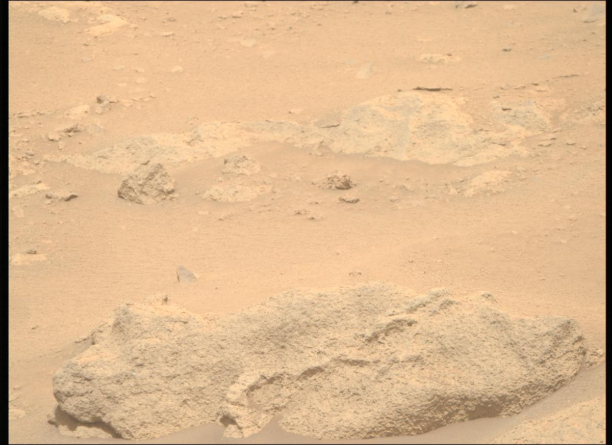 This image was taken by MCZ_RIGHT onboard NASA's Mars rover Perseverance on Sol 1206