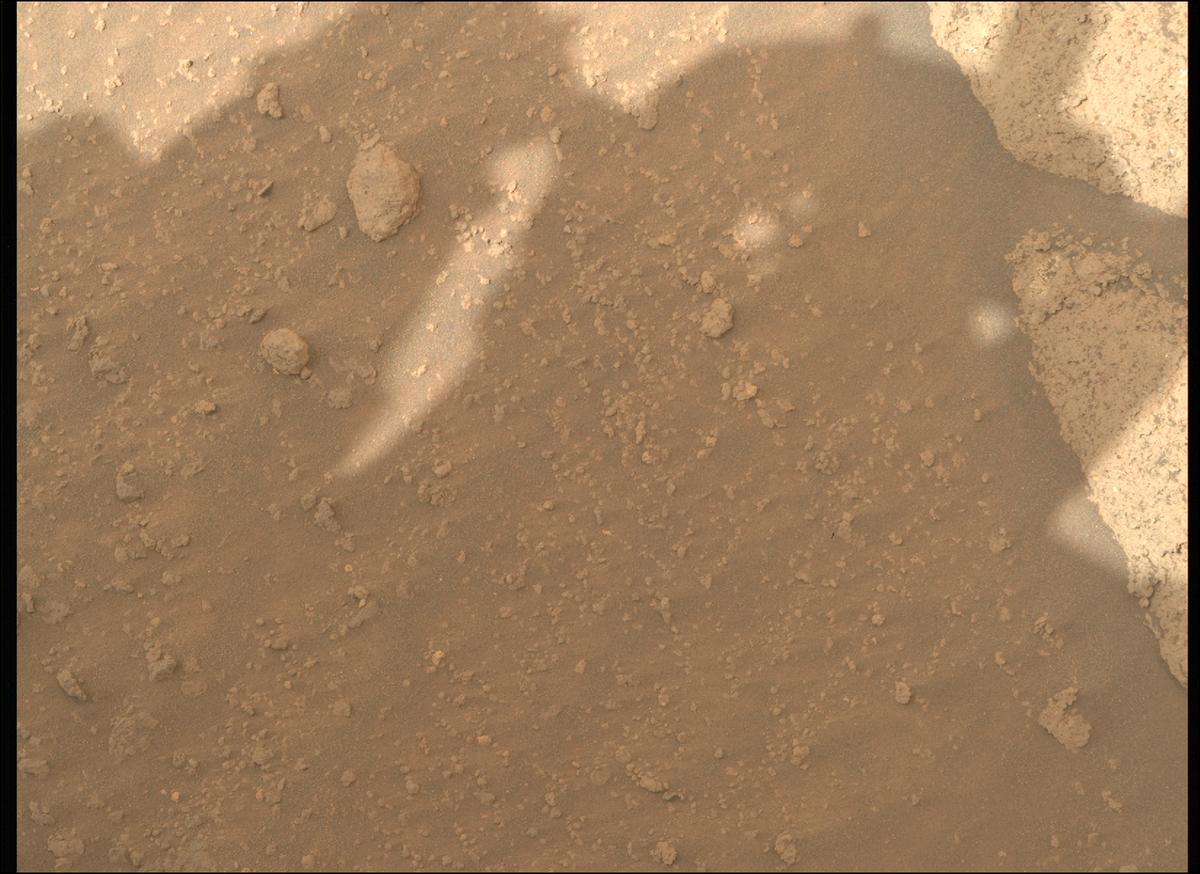 This image was taken by MCZ_RIGHT onboard NASA's Mars rover Perseverance on Sol 1206