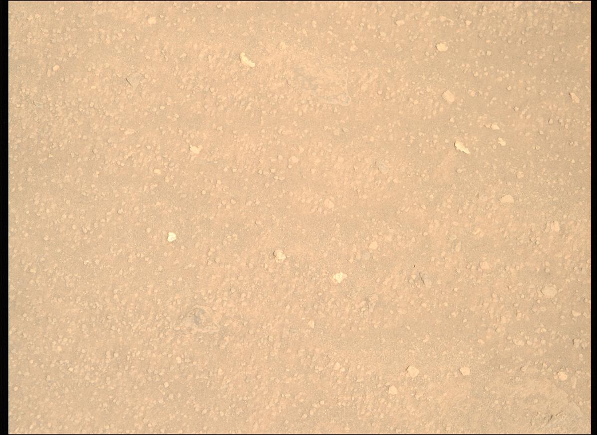 This image was taken by MCZ_RIGHT onboard NASA's Mars rover Perseverance on Sol 1206