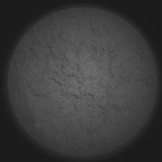 View image taken on Mars, Mars Perseverance Sol 1208: SuperCam Camera