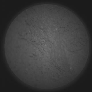 View image taken on Mars, Mars Perseverance Sol 1208: SuperCam Camera