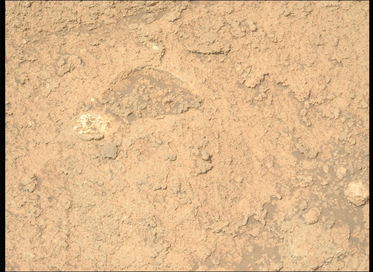 This image was taken by MCZ_LEFT onboard NASA's Mars rover Perseverance on Sol 1208