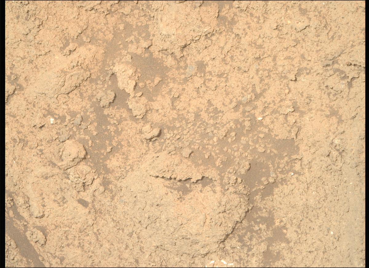This image was taken by MCZ_RIGHT onboard NASA's Mars rover Perseverance on Sol 1208