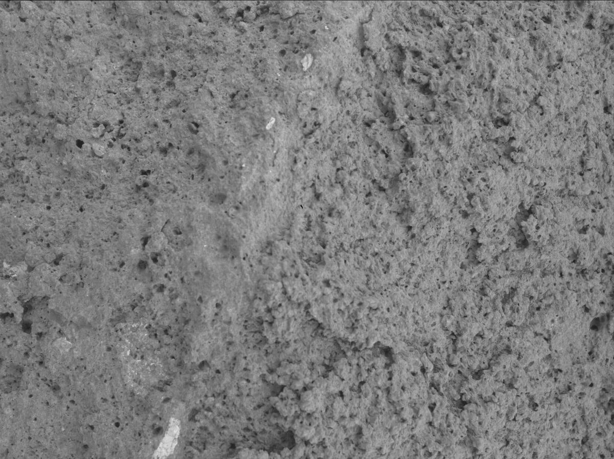 This image was taken by SHERLOC_WATSON onboard NASA's Mars rover Perseverance on Sol 1209