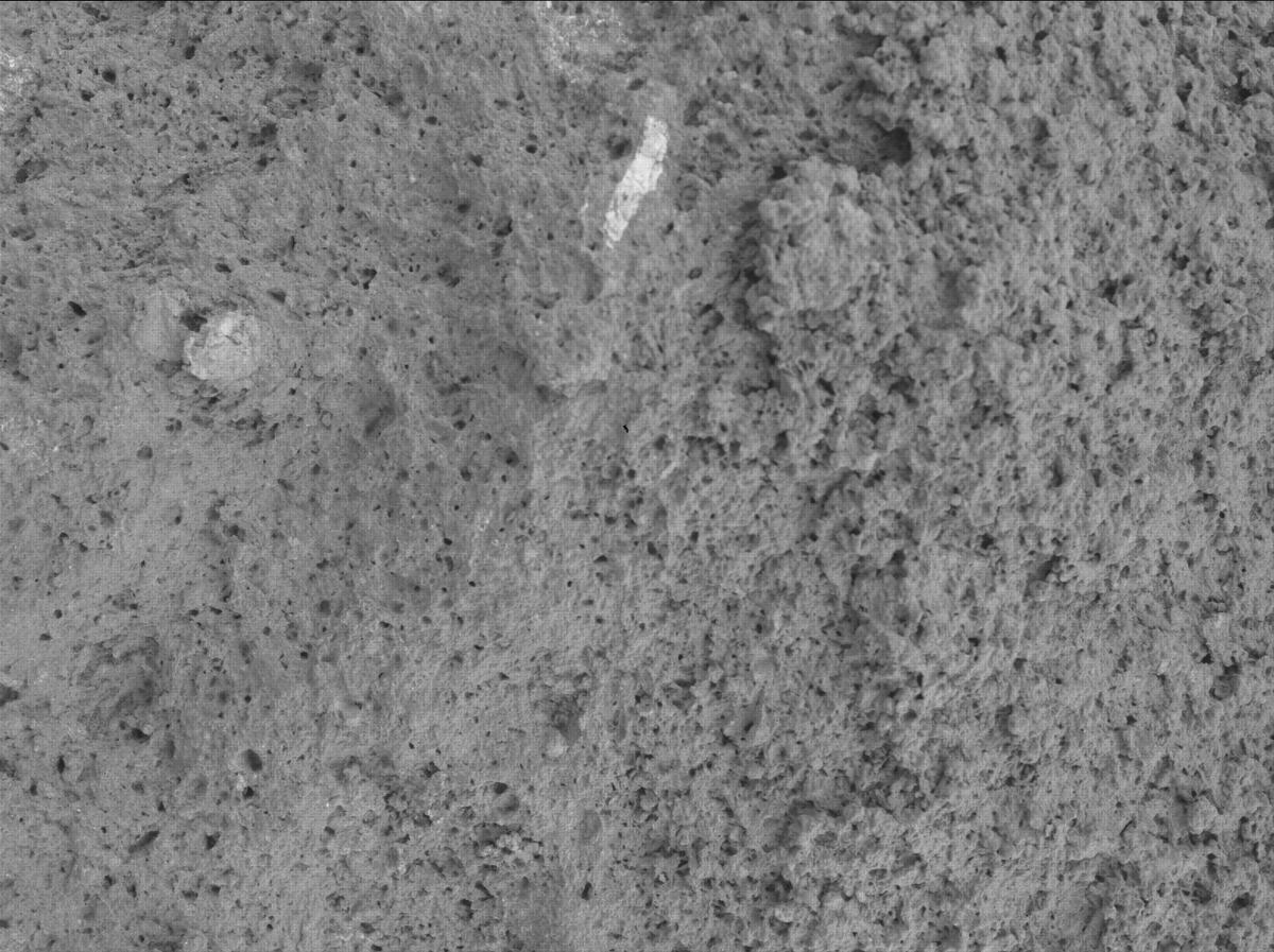 This image was taken by SHERLOC_WATSON onboard NASA's Mars rover Perseverance on Sol 1209