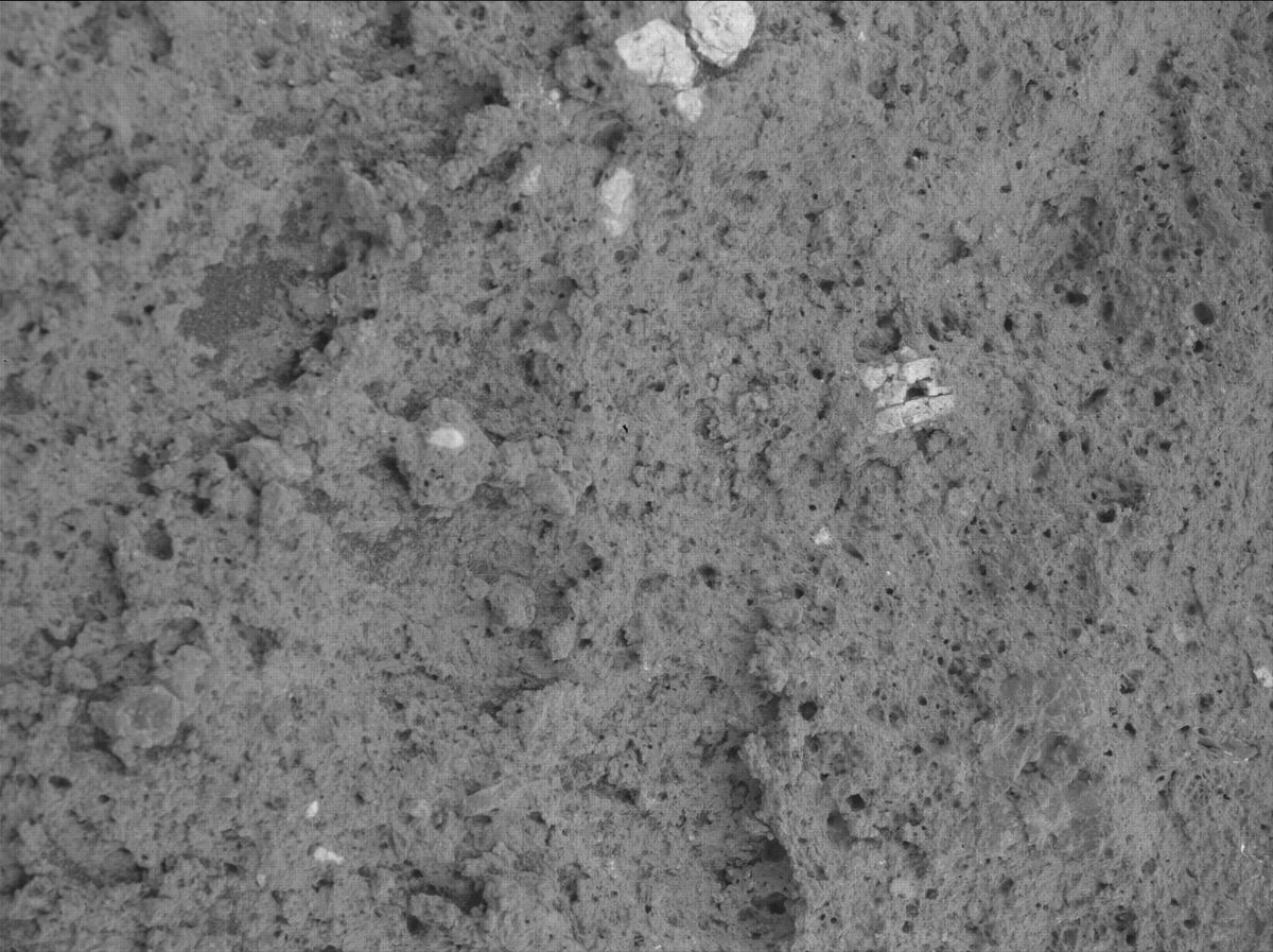 This image was taken by SHERLOC_WATSON onboard NASA's Mars rover Perseverance on Sol 1209