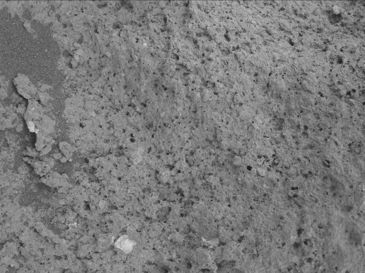 This image was taken by SHERLOC_WATSON onboard NASA's Mars rover Perseverance on Sol 1209