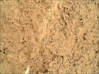 View image taken on Mars, Mars Perseverance Sol 1209: WATSON Camera 