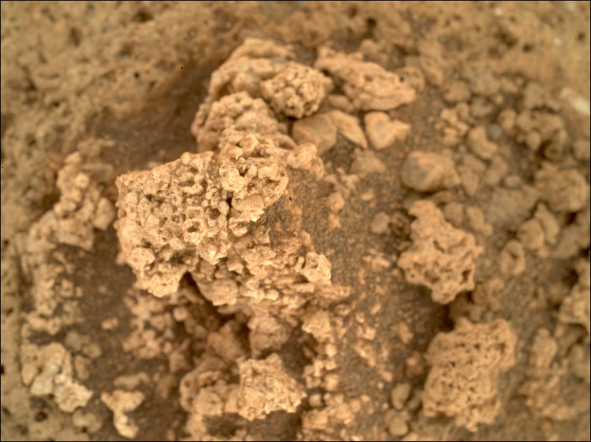 This image was taken by SHERLOC_WATSON onboard NASA's Mars rover Perseverance on Sol 1209