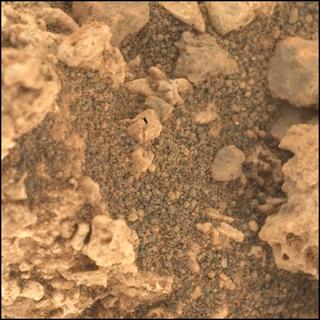 View image taken on Mars, Mars Perseverance Sol 1209: WATSON Camera 