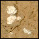 This image was taken by MCZ_LEFT onboard NASA's Mars rover Perseverance on Sol 1209