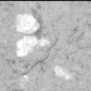 This image was taken by MCZ_LEFT onboard NASA's Mars rover Perseverance on Sol 1209