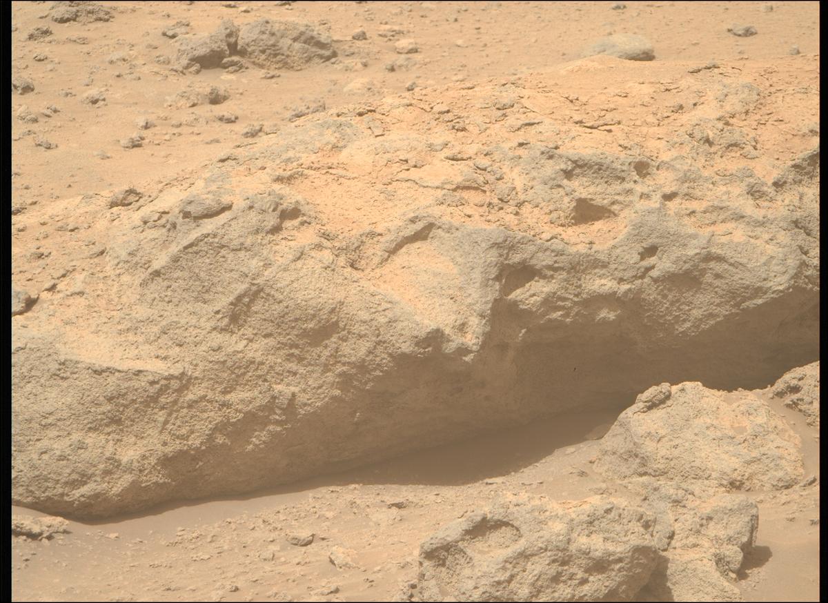 This image was taken by MCZ_RIGHT onboard NASA's Mars rover Perseverance on Sol 1209