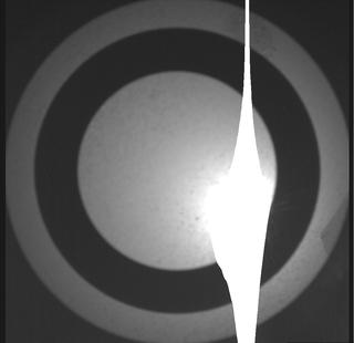 View image taken on Mars, Mars Perseverance Sol 1210: SkyCam Camera 