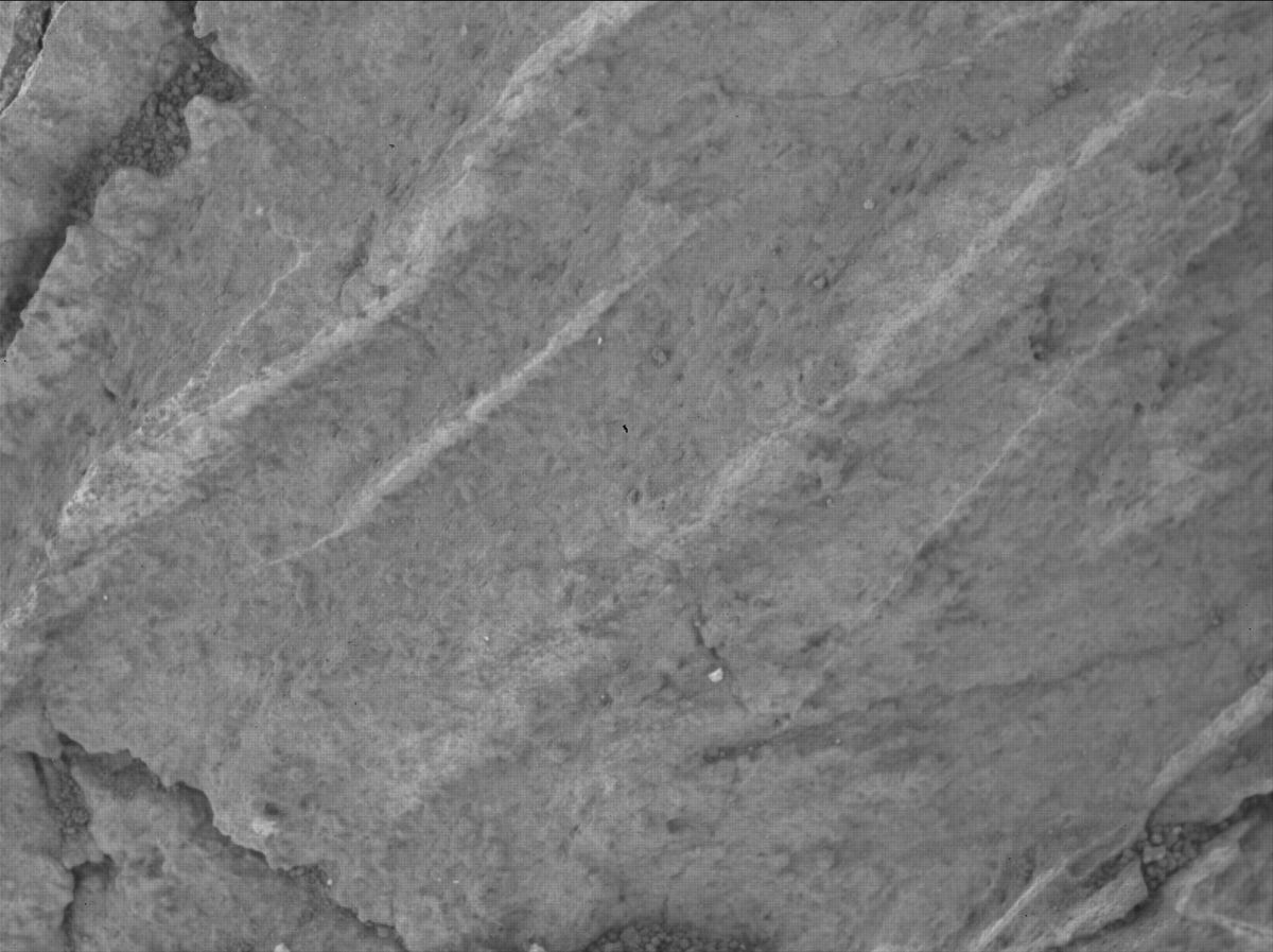 This image was taken by SHERLOC_WATSON onboard NASA's Mars rover Perseverance on Sol 1211